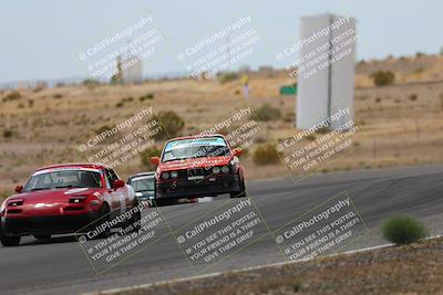 media/May-03-2025-Lucky Dog Racing (Sat) [[206de64b9d]]/Turn 6 (150pm-230pm)/